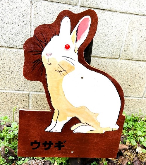 ウサギ.jpg