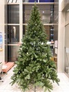 クリスマスツリーの登場です✩（in 江東区交流プラザ）